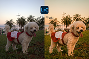 Lightroom Preset | Soft Light, a Photo by BeatrizLimaFernandes (Thumbnail 2 of 3)