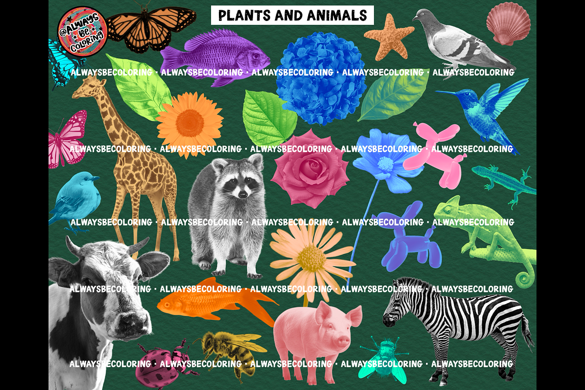 Procreate Photo Collage Brush Set, a Brush Add-On by AlwaysBeColoring (Photo 8 of 15)