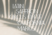 Adele Moon Serif Font + Extras, a Serif Font by Creator Goodies (Thumbnail 13 of 17)