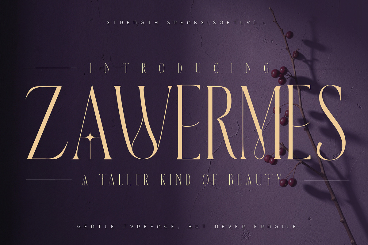 ZAWERMES - Thin Lines Elegance, a Serif Font by HypeWorksCo (Photo 1 of 21)