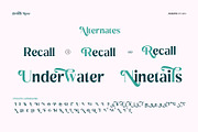 Briella Rose - Elegant Display Serif, a Serif Font by Aksapix Studio (Thumbnail 7 of 12)