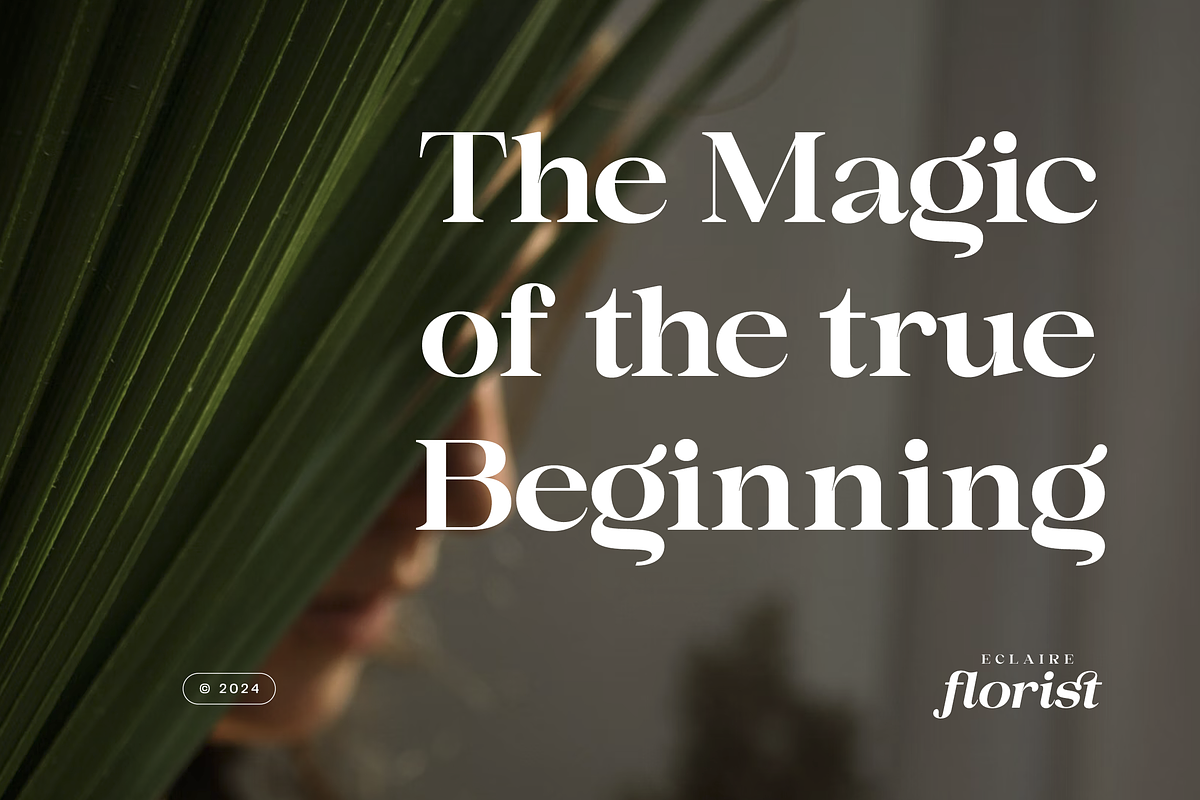 Maglisto - Modern Serif Display, a Serif Font by Namara Creative Studio (Photo 4 of 10)