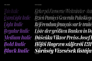 Gabriela Stencil Condensed, a Font by Lechuga Type (Thumbnail 5 of 17)