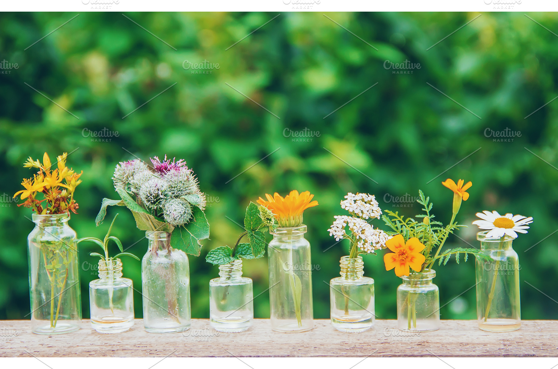 extracts of herbs in small bottles, a Health & Medical Photo by yanadjana