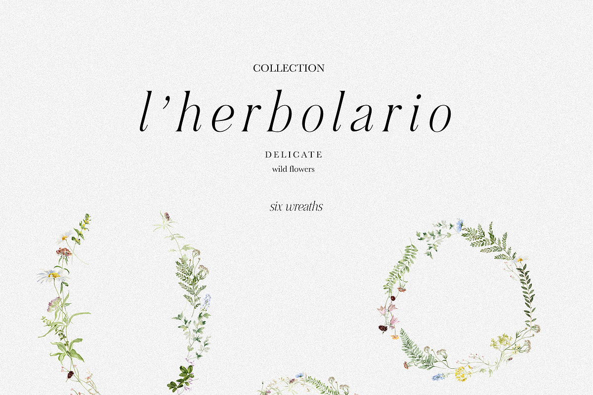 l'Herbolario - Wild Floral Graphics, an Illustration by studioequinox (Photo 10 of 14)