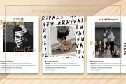 CANVA Social Bundle + FREE Updates, a Social Media Template by SilverStag Type Foundry (Thumbnail 82 of 91)