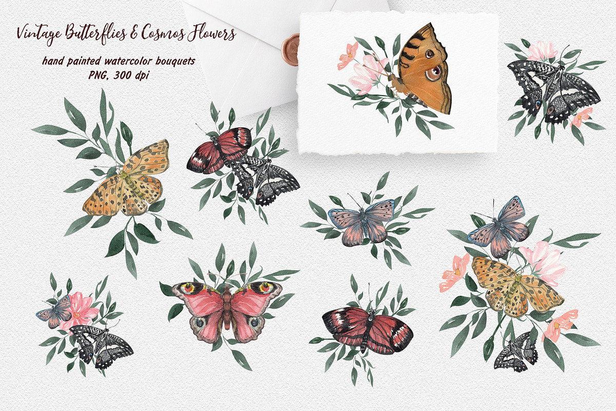 Vintage Butterflies & Cosmos Flowers, an Illustration by Catch the Dream Art (Photo 2 of 12)