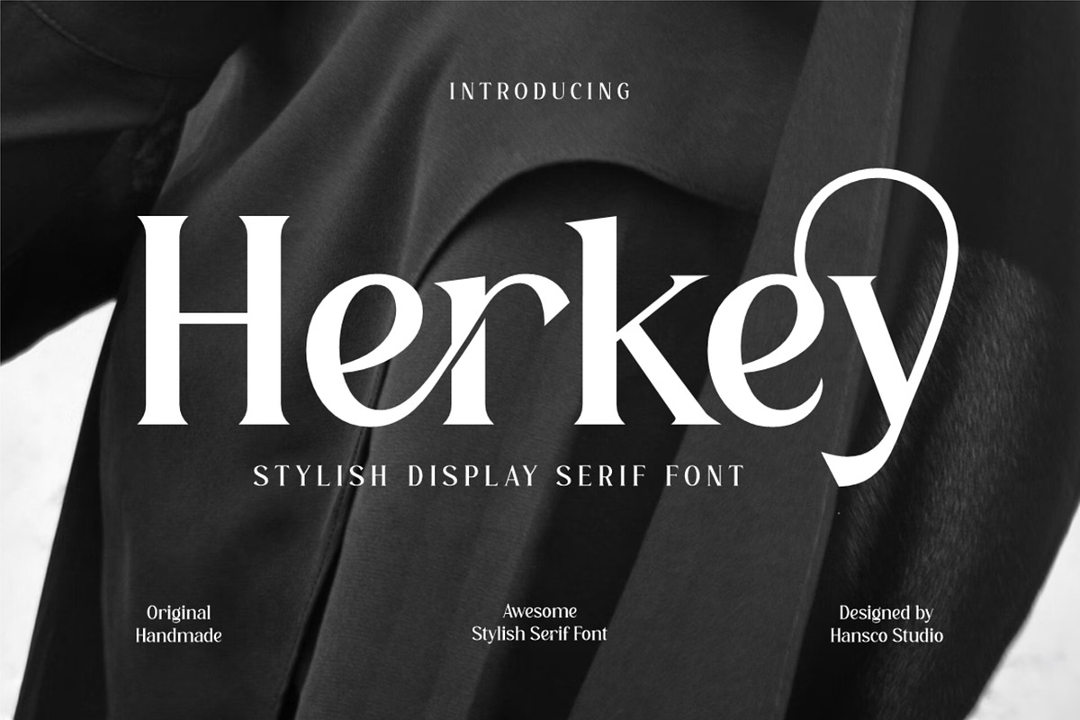 Aesthetic Retro Font Bundle - SALE!, a Serif Font by HansCo Studio (Photo 8 of 8)