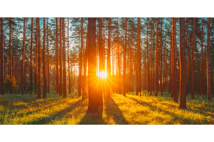 Sunset Sunrise Sun Sunshine In Sunny, a Nature Photo by Our Amazing World