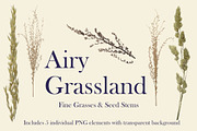 Airy Grassland — Fine Grasses & Seed, an Object Graphic by Aga Silva (Thumbnail 3 of 5)