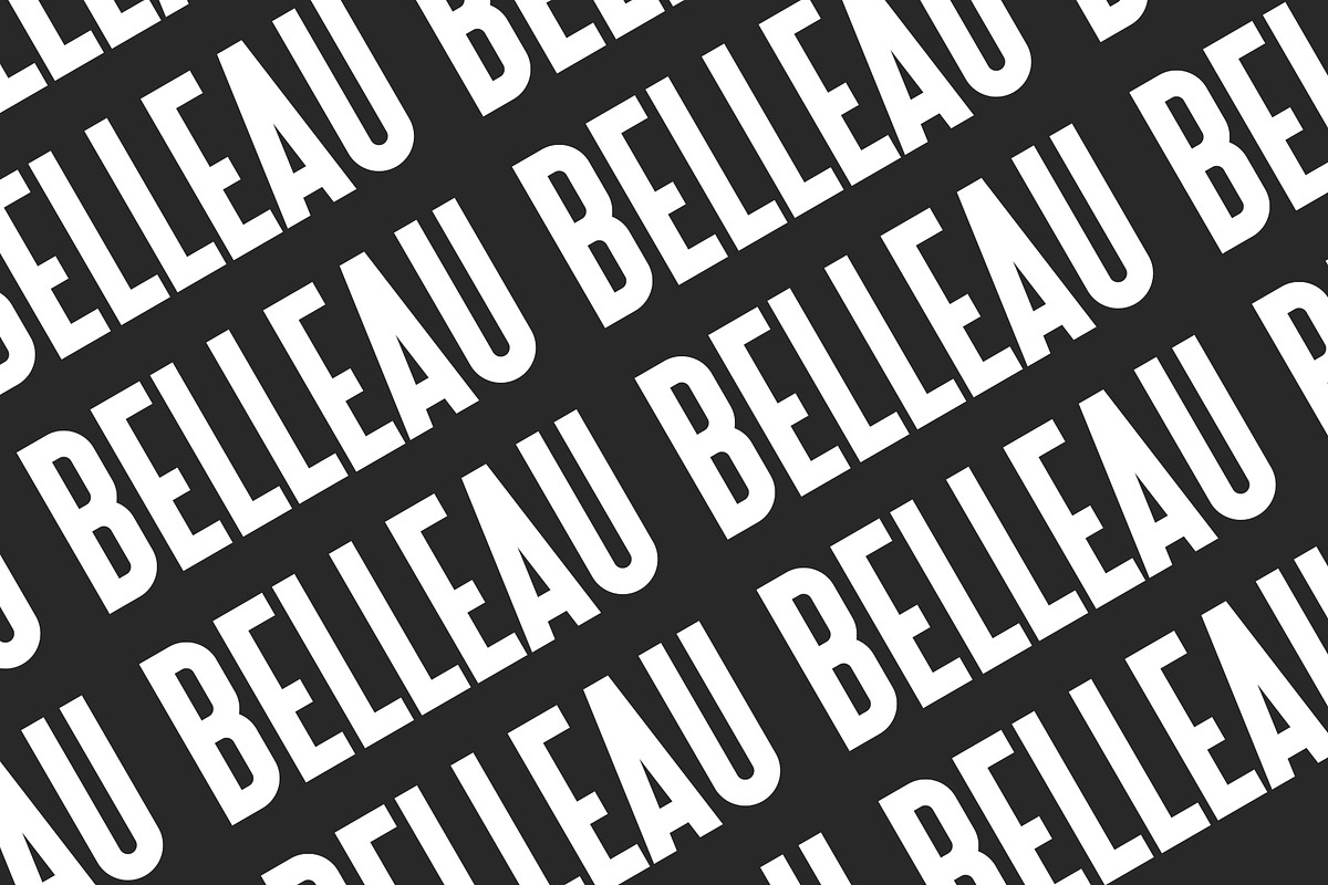 Belleau | Sans Serif Font Family preview 5