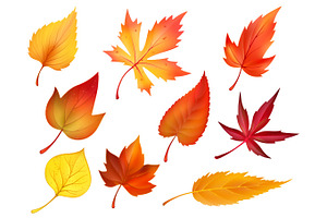 Autumn Foliage Of Fall Falling Leaves Vector Icons