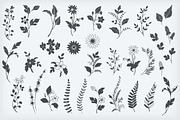 Botanical Decorative Elements, a Decorative Illustration by Solana (Thumbnail 3 of 6)