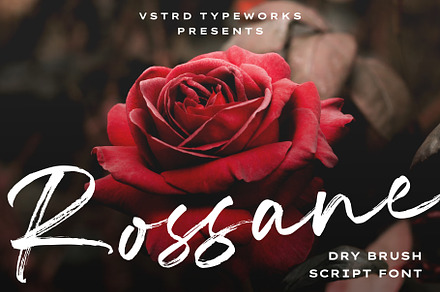 Rossane - Dry Brush Script Font