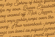 Lasso Monoline, a Script Font by Loudoun Design Co. (Thumbnail 7 of 8)