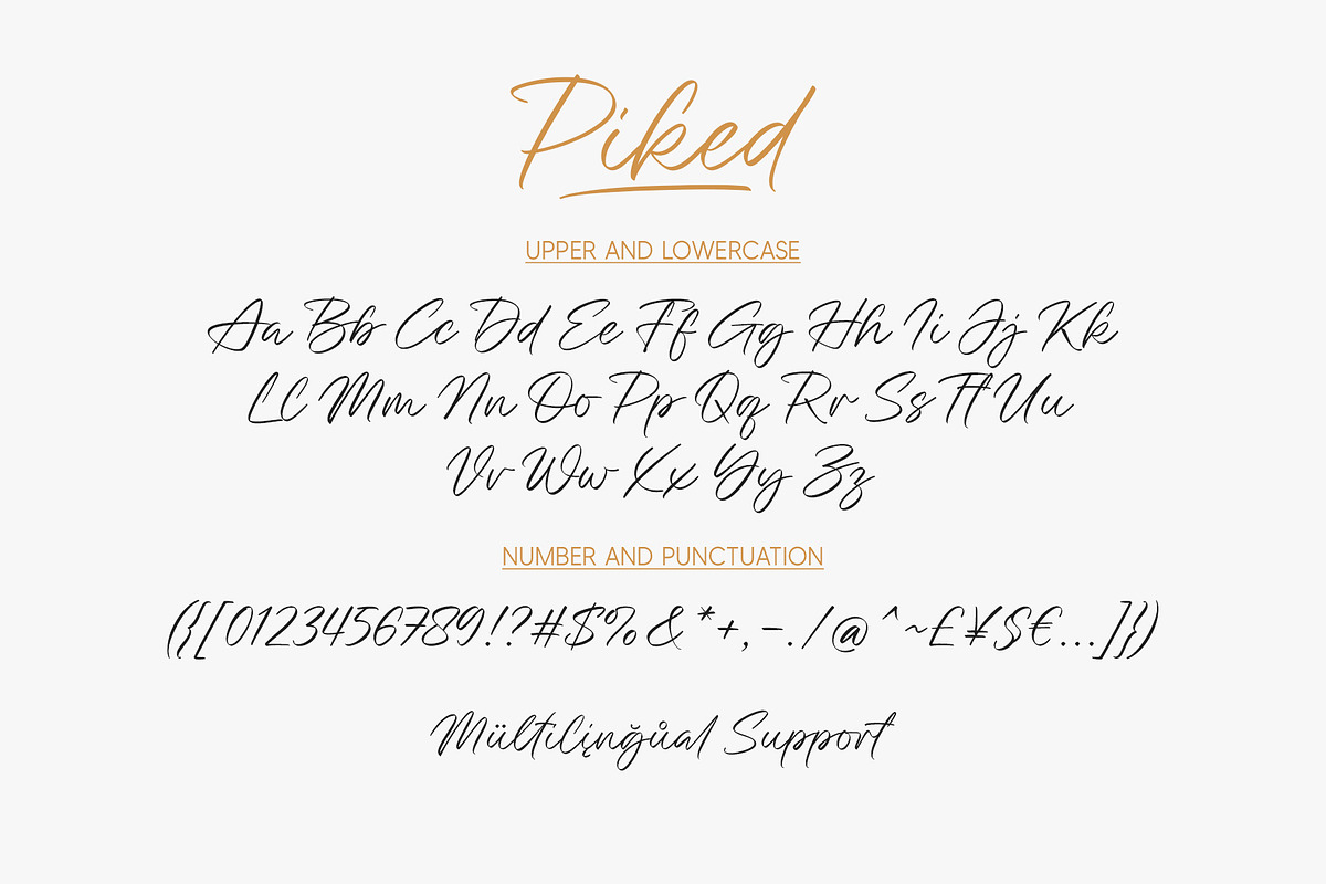 Piked | Handwritten Font, a Script Font by Lemonthe (Photo 7 of 7)