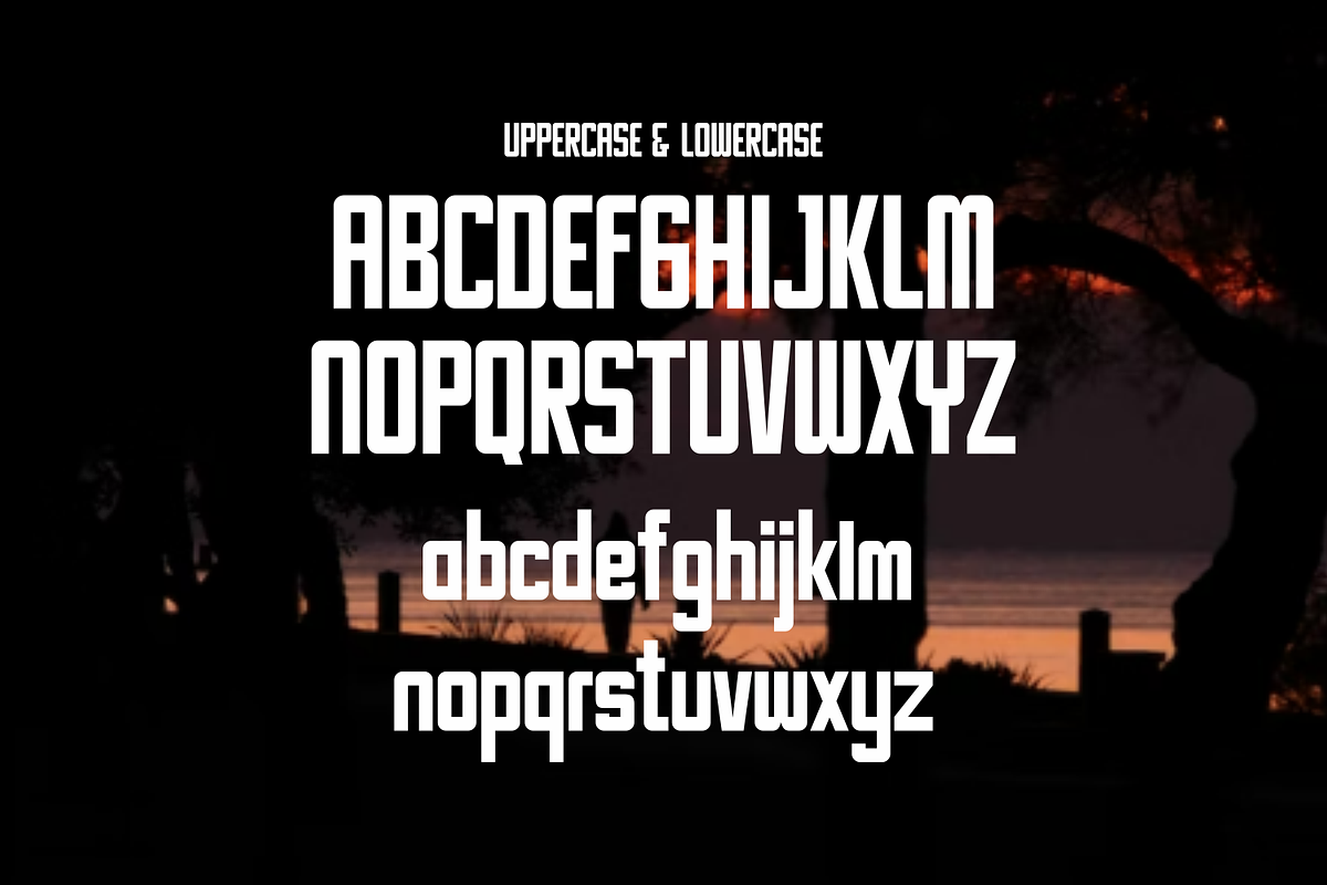 Rasnico, a Sans Serif Font by lelevien (Photo 6 of 6)