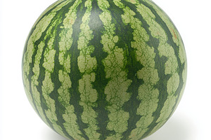 Whole green watermelon summer fruit, an Animal Photo by Pixeness Studio