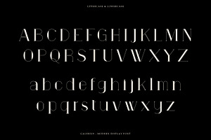 Galerius Display Serif Font