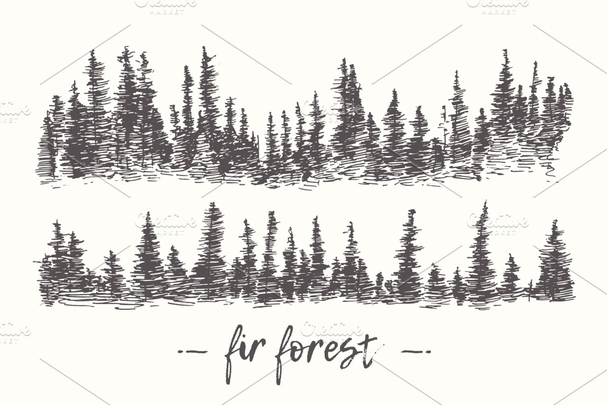 Two illustrations of a fir forest, an Illustration by TheMountBirdStudio