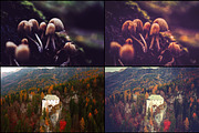 7000+ Professional Lightroom Presets, a Layer Style Add-On by Eldamar Studio (Thumbnail 6 of 33)