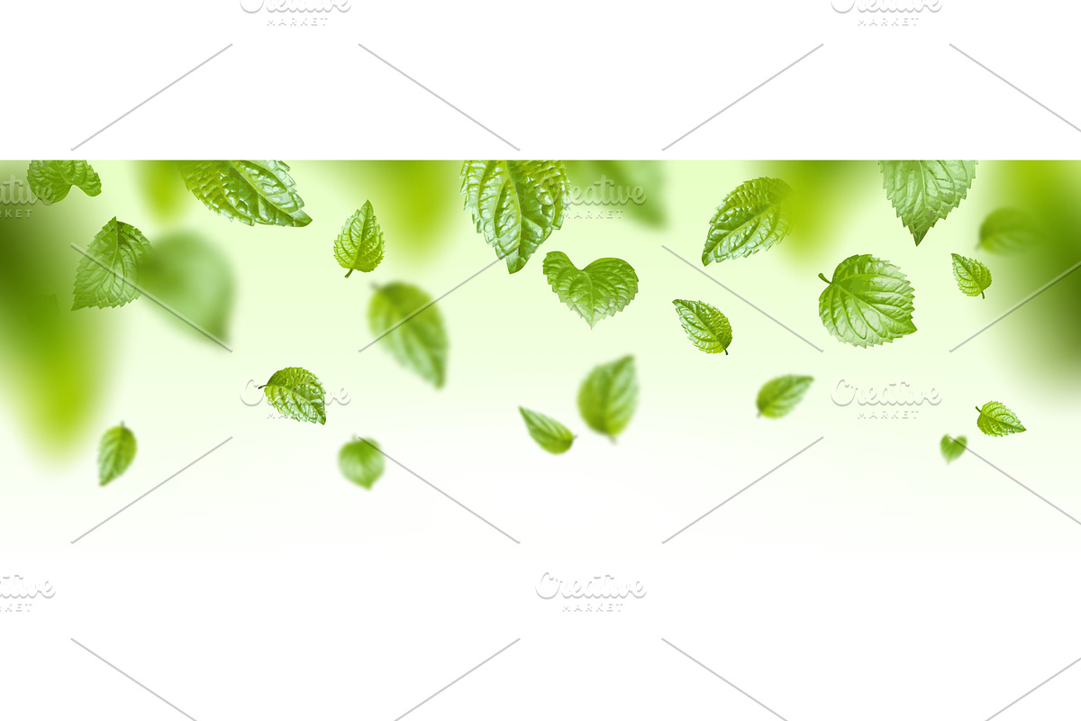 Fresh green mint leaves floating in, an Object Illustration by art PVP - market