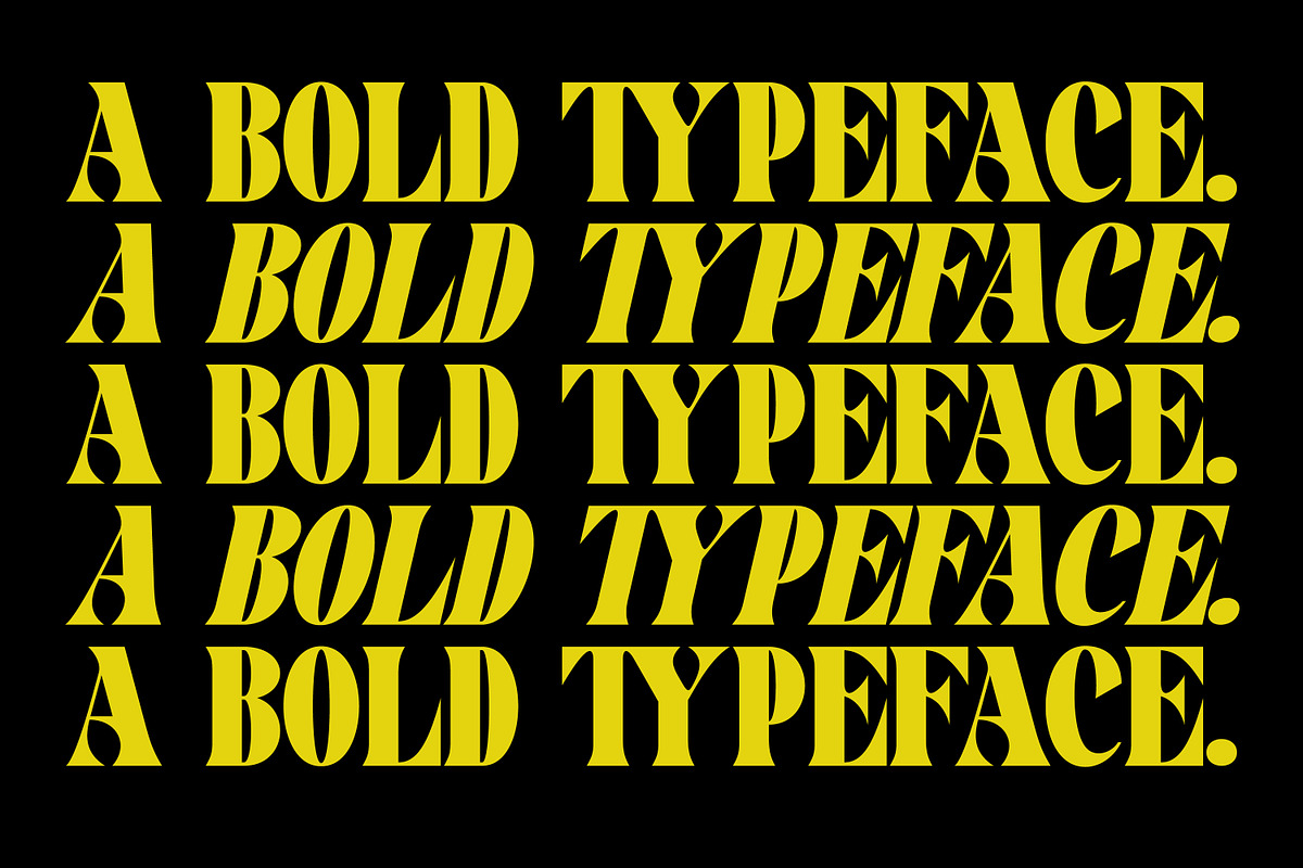 Pronema - Modern Serif, a Serif Font by tebaltipislab (Photo 10 of 13)