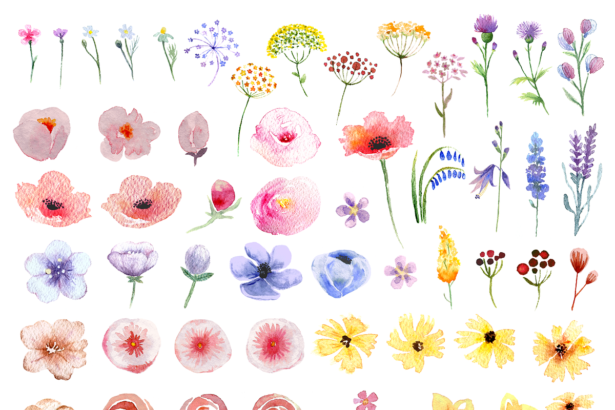 Watercolor Summer Meadow, an Illustration by SophieLittleEye (Photo 2 of 7)