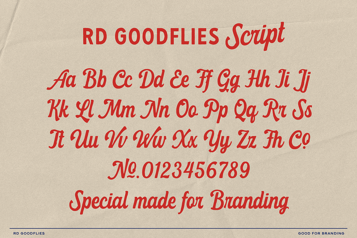 RD Goodflies, a Handwritten Font by Refolve Design (Photo 6 of 11)