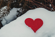Valentine's day photo pack, a Holiday Photo by outlinez (Thumbnail 10 of 11)
