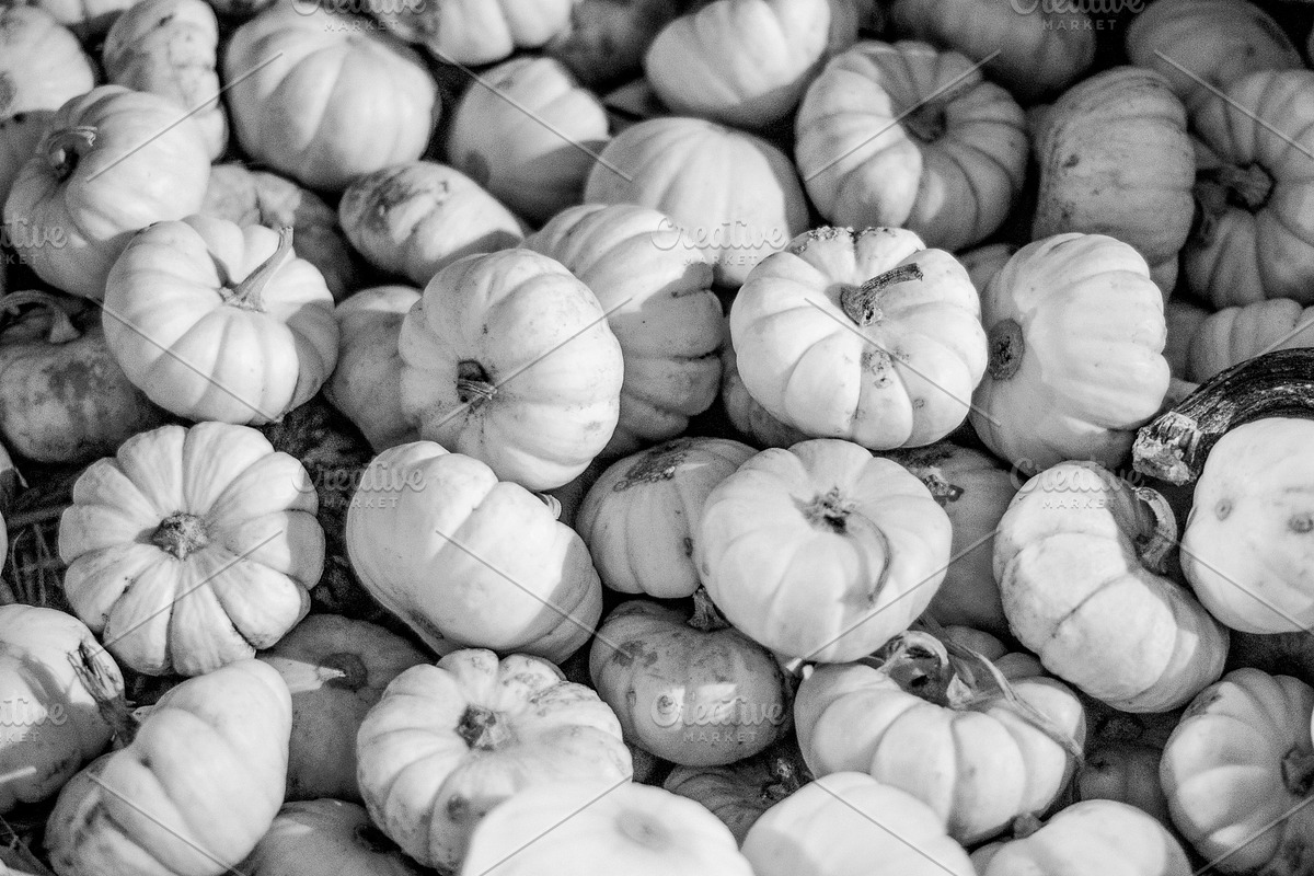 Fall Pumpkin Stock Bundle, a Holiday Photo by r.r.palacios (Photo 9 of 15)