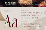 Aqualim Signature - Duo Font, a Serif Font by Burntilldead (Thumbnail 3 of 12)