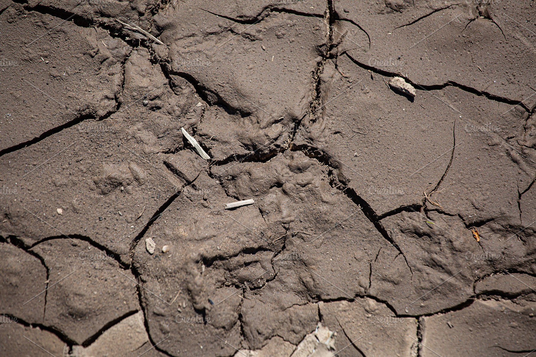 Drying cracked soil, an Abstract Photo by Photo for You