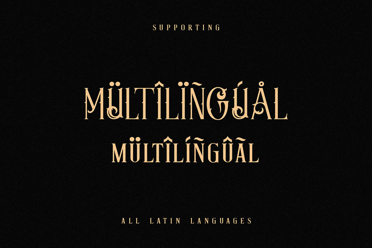 Aston - Vintage Serif Font, a Serif Font by JumboDesign (Photo 5 of 7)