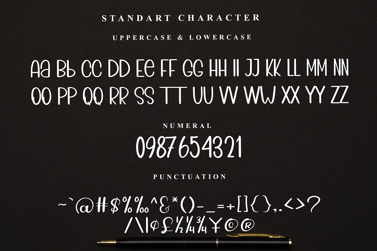 Outline Stocking, a Serif Font by FreshTypeINK (Photo 4 of 7)
