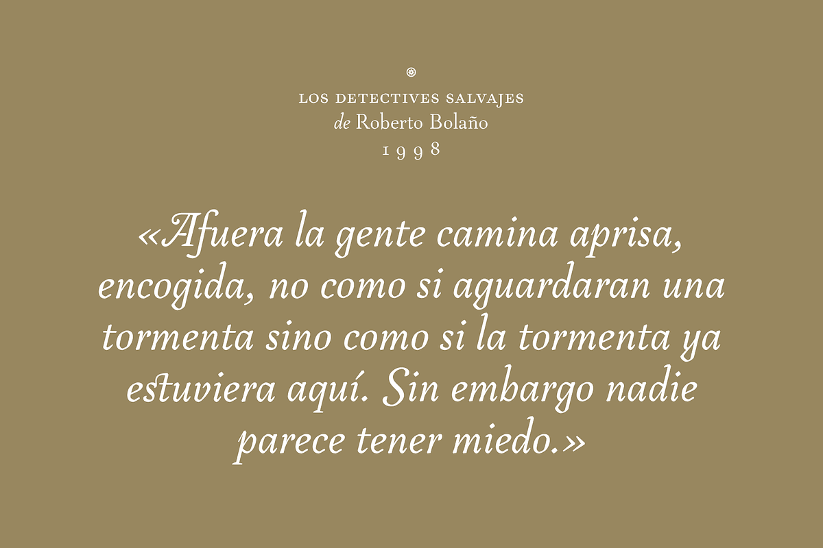 LC Tejuela, a Serif Font by CTCH (Photo 11 of 13)