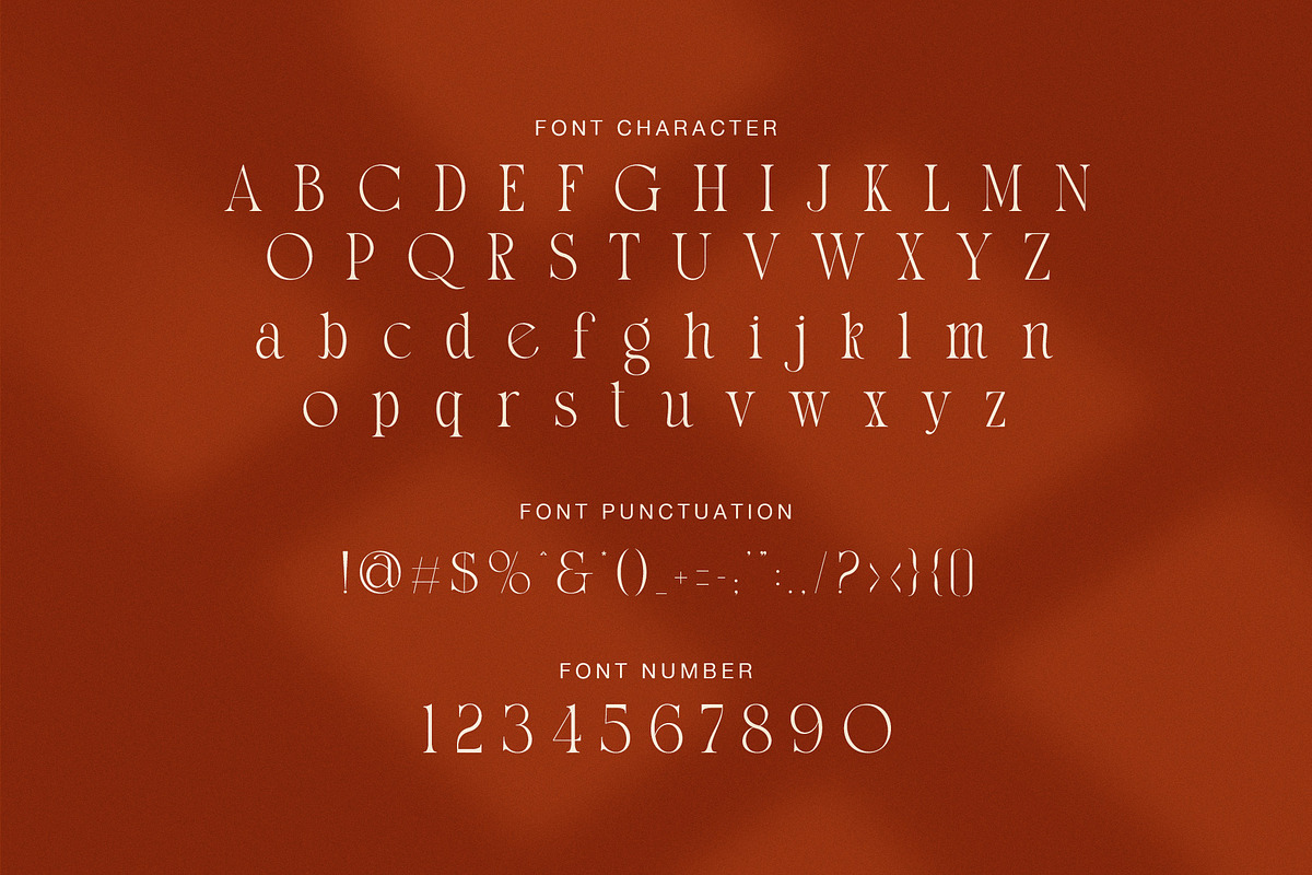 Thomy Elegant Serif Font, a Serif Font by Graphicxell (Photo 6 of 8)