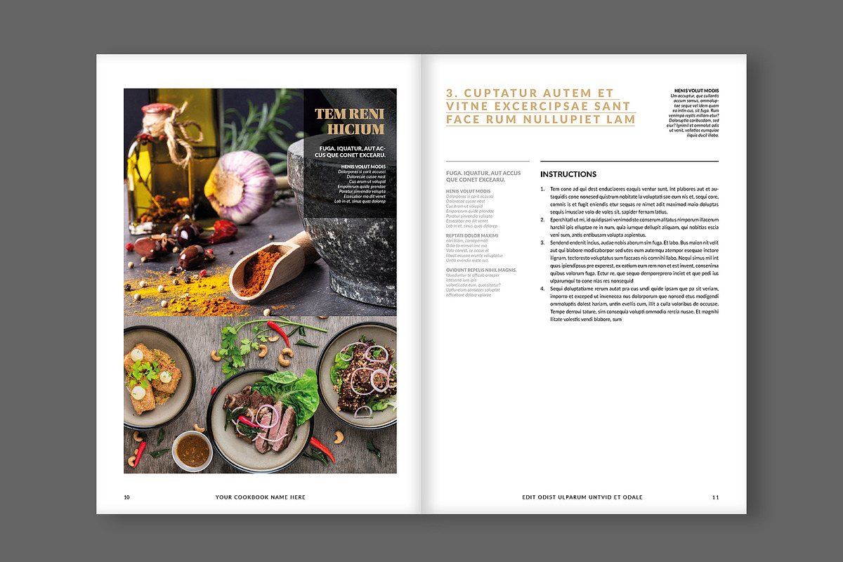 Cookbook / Recipe Book Layout, a Brochure Template by tomsarraipodesign (Photo 7 of 16)