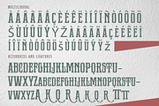 Bushcraft - A Serif Display Font, a Serif Font by overlaytemplates (Thumbnail 5 of 5)