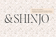 Voxas | 54 Font Serif, a Serif Font by Anthony James (Thumbnail 12 of 22)