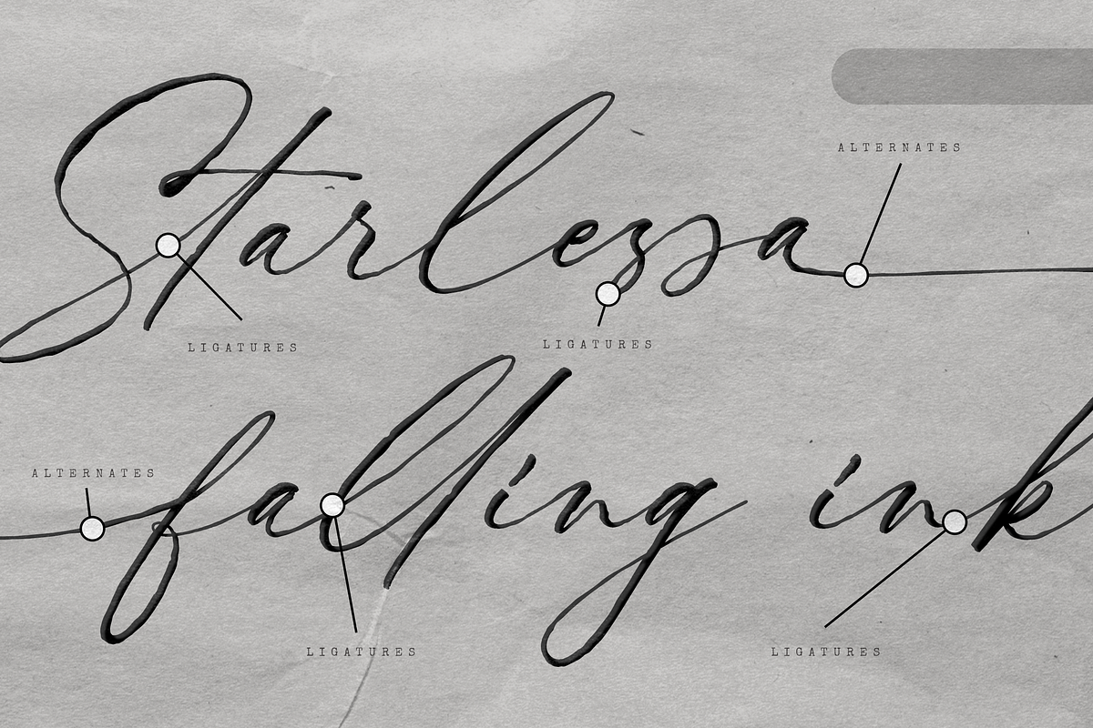 Nocturnal Blossom Handwritten Script, a Script Font by Namara Creative Studio (Photo 6 of 16)