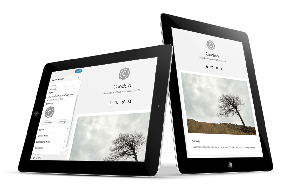 Candela Portfolio WordPress Theme, a WordPress Template by DesignOrbital (Photo 4 of 5)