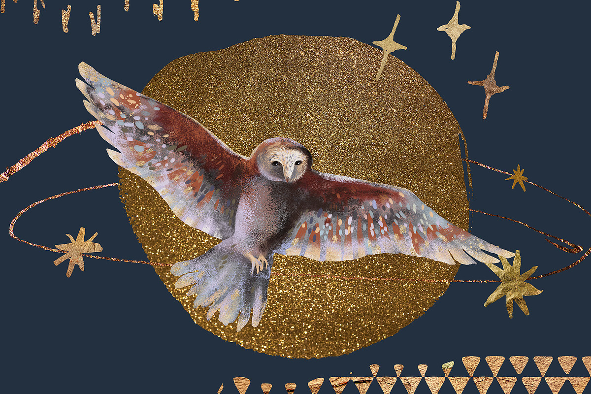 Magic owls: 280 elements for design, an Animal Illustration by Shusha Guna Art (Photo 16 of 23)