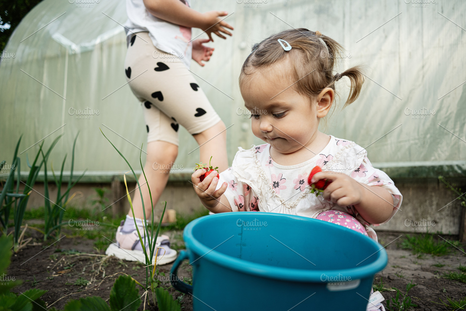 Young child playing with fresh strawberries in a garden setting with siblings, a Person Photo by AS photostudio