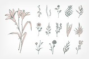 Hand drawn flowers set and seamless, a Decorative Illustration by Good Studio (Thumbnail 2 of 11)
