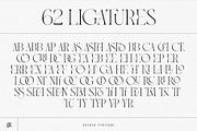 Asther - Fashion Font, a Serif Font by Ivan Rosenberg (Thumbnail 18 of 19)