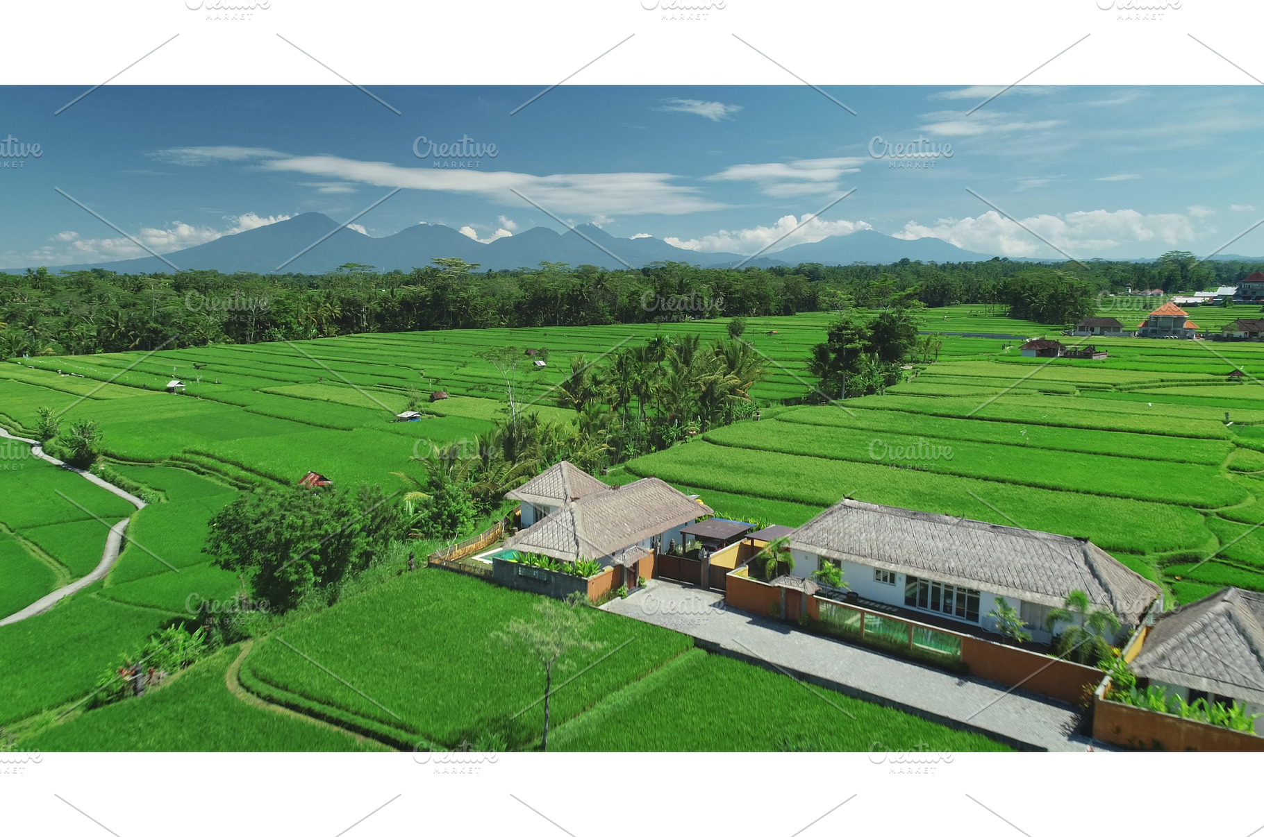 Stunning aerial view of Ubud Rice, a Nature Photo by Goinyk