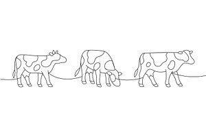 Three cows in a row. Continuous, an Animal Illustration by GraphiShop