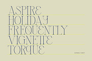 Spora Font Duo, a Serif Font by vuuuds (Thumbnail 10 of 14)