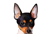 55 Dog Breeds Popular in USA, an Animal Illustration by Dneprstock (Thumbnail 8 of 14)